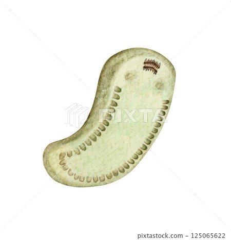 齒紋龍，一種寒武紀古生代生物，水彩插圖 125065622