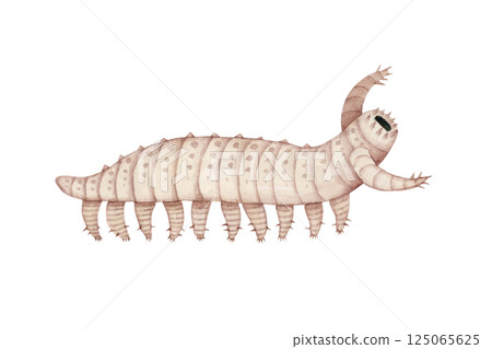 Aishuaia，一種寒武紀古生代生物，水彩插圖 125065625