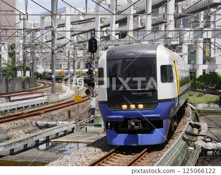 255系特快列車駛入千葉站 125066122