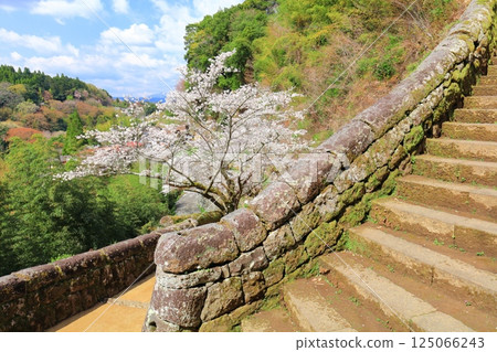 【大分縣】晴天的岡城、大手坂魚糕石和盛開的櫻花 125066243