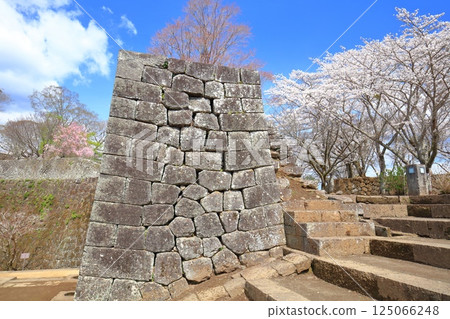 【大分縣】晴天的岡城、城門遺跡和盛開的櫻花 125066248