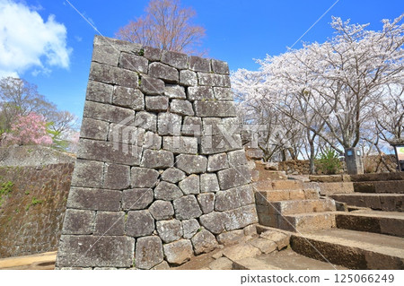 【大分縣】晴天的岡城、城門遺跡和盛開的櫻花 125066249