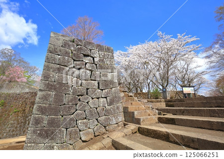 【大分縣】晴天的岡城、城門遺跡和盛開的櫻花 125066251