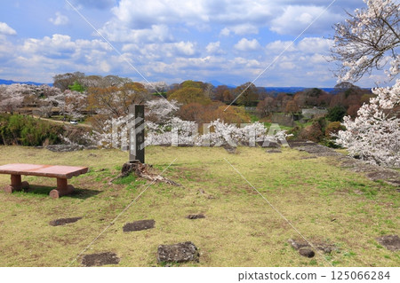 【大分縣】晴天時從岡城本城眺望盛開的櫻花 125066284