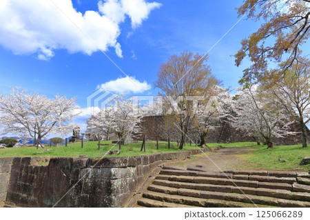 [Oita Prefecture] Oka Castle's main citadel on a clear day and cherry blossoms in full bloom 125066289