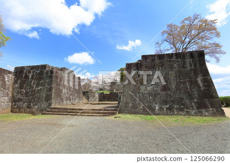 【大分縣】晴天的岡城、太鼓塔遺址和盛開的櫻花 125066290