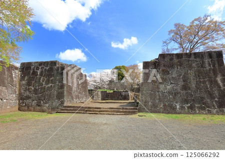 【大分縣】晴天的岡城、太鼓塔遺址和盛開的櫻花 125066292
