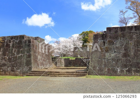 【大分縣】晴天的岡城、太鼓塔遺址和盛開的櫻花 125066293