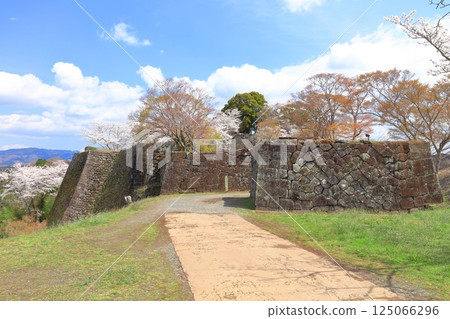 【大分縣】晴天的岡城、西隔牆遺址和盛開的櫻花 125066296