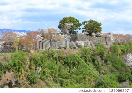 【大分縣】晴天裡的岡城本城和盛開的櫻花 125066297