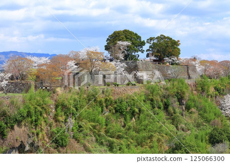 [Oita Prefecture] Oka Castle's main citadel on a clear day and cherry blossoms in full bloom 125066300