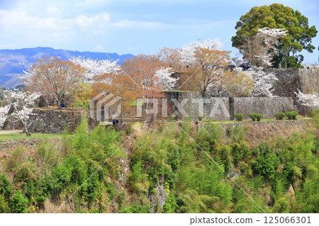 【大分縣】晴天裡的岡城本城和盛開的櫻花 125066301