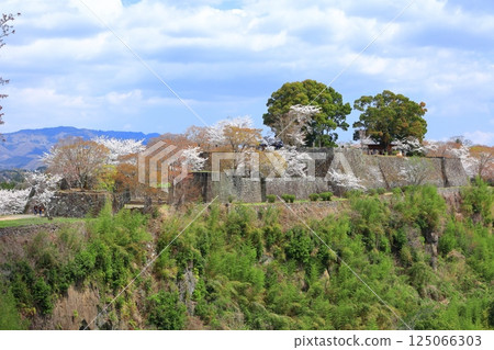 【大分縣】晴天裡的岡城本城和盛開的櫻花 125066303