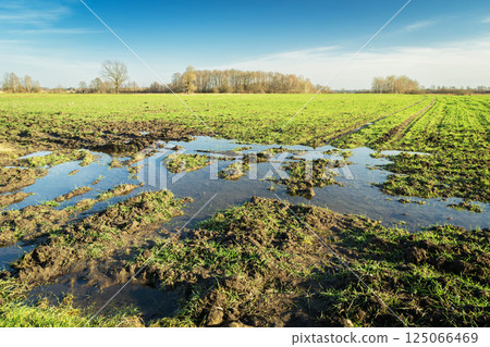 Flooded rural farmland Flooded rural farmland 125066469