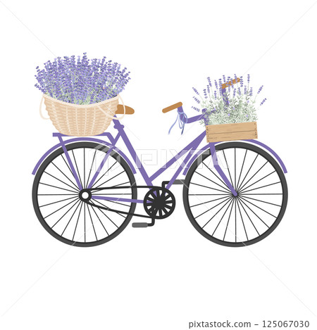 Bicycle with lavender baskets. Retro Provence design element. Isolated vector illustration 125067030