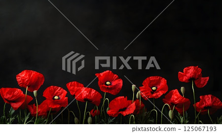 horizontal banner ANZAC day, red poppies flowers 125067193