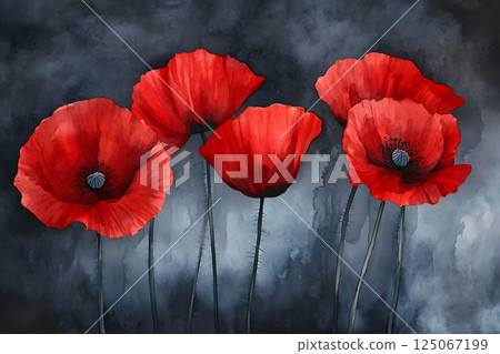 ANZAC day, red poppies flowers, illustration in watercolor style 125067199