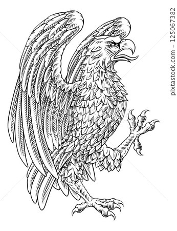 Eagle Coat of Arms Crest Shied Heraldic Animal Eagle Coat of Arms Crest Shied Heraldic Animal 125067382