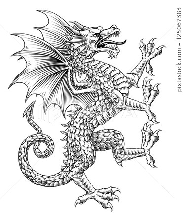 Dragon Coat of Arms Crest Shied Heraldic Animal Dragon Coat of Arms Crest Shied Heraldic Animal 125067383