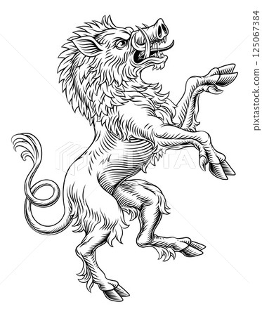 Heraldic Coat of Arms Crest Rearing Heraldry Boar Heraldic Coat of Arms Crest Rearing Heraldry Boar 125067384