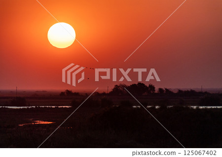 Sunset over the chobe river Sunset over the chobe river 125067402