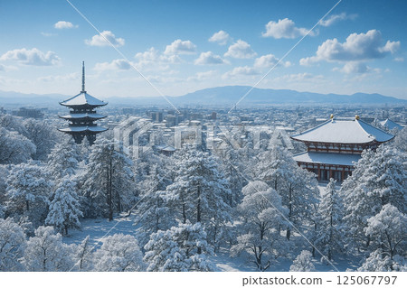 興福寺：中金堂與五重塔的雪景 125067797