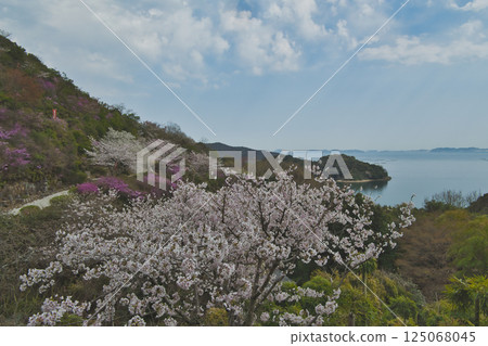 Sakae is a port town certified as a Japan Heritage Site, with retro streets and beautiful views of the Seto Inland Sea. 125068045