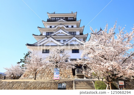 [廣島縣] 春天櫻花盛開的福山城（重建後） 125068294