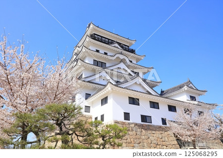 [Hiroshima Prefecture] Fukuyama Castle in spring with cherry blossoms in bloom (after reconstruction) 125068295