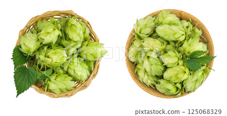 Hop cones in wicker basket isolated on white background. Beer brewing ingredients. Top view. Flat lay 125068329