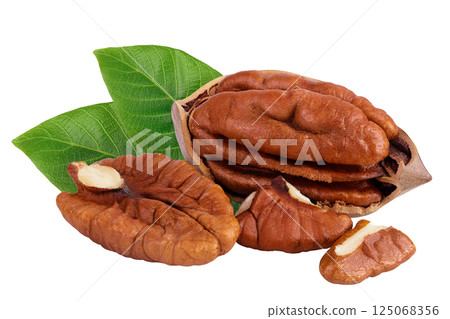 broken pecan nut isolated on white background with full depth of field broken pecan nut isolated on white background with full depth of field 125068356