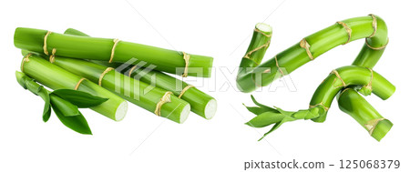 Green bamboo with leaves isolated on white background with full depth of field 125068379