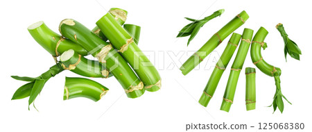 Green bamboo with leaves isolated on white background. Top view. Flat lay Green bamboo with leaves isolated on white background. Top view. Flat lay 125068380