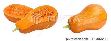 butternut squash half isolated on white background with full depth of field butternut squash half isolated on white background with full depth of field 125068415