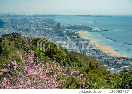 Suma Coast Scenery 125068717