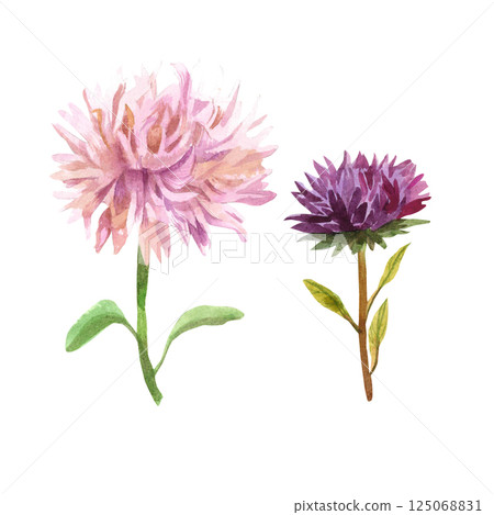 Handmade Watercolor Set with Asters 125068831