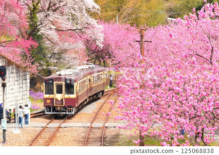 開花神戶站和Watarase谷鐵路 開花神戶站和Watarase谷鐵路 125068838