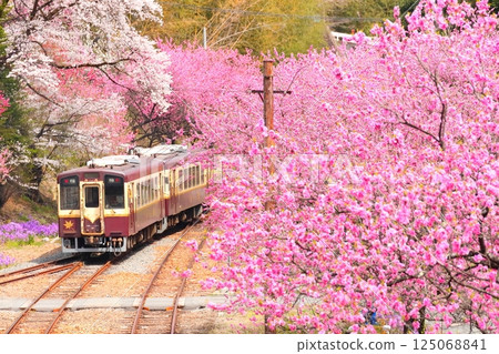 Flowering Kobe Station and Watarase Valley Railway Flowering Kobe Station and Watarase Valley Railway 125068841