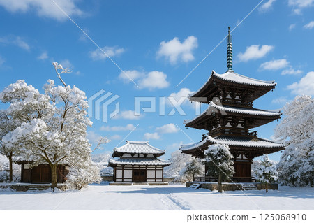 法器寺三重塔與雪景 法器寺三重塔與雪景 125068910