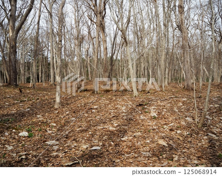 初春的九州古墓群 125068914