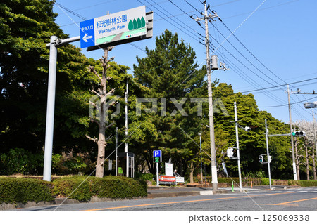 Forest Park Forest Park 125069338