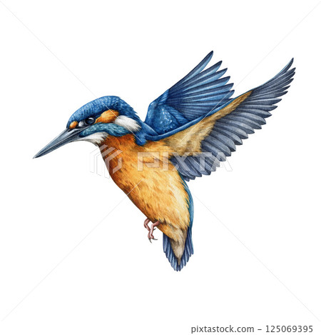 Flying kingfisher bird watercolor illustration. Hand drawn vintage style realistic illustration of a bright blue bird with orange breast in a flight. Common kingfisher isolated on white background 125069395