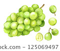 Shine Muscat 125069497