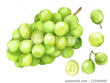 閃耀馬斯喀特 125069497