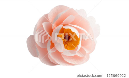 Isolated single paper flower peony made from crepe paper 125069922