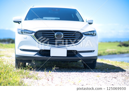 White SUV type car White SUV type car 125069930