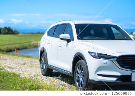 White SUV type car White SUV type car 125069955