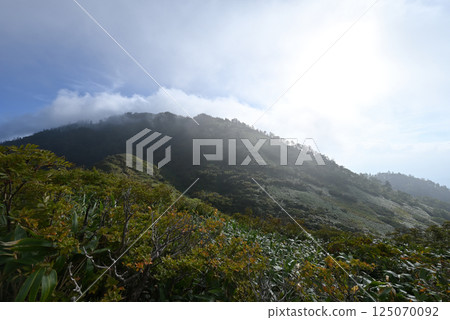 Mount Naeba, Hiking, Niigata Prefecture 125070092