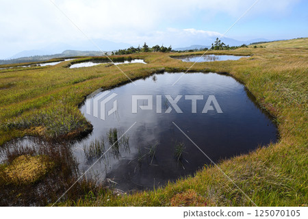Mount Naeba, Hiking, Niigata Prefecture 125070105