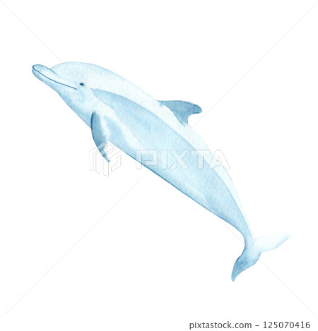 Dolphin watercolor illustration isolated on white. High quality hand-drawn blue monochromatic clip art perfect for notebooks, posters, wallpaper, tote bags, cards, eco, tourism, room decor and design 125070416